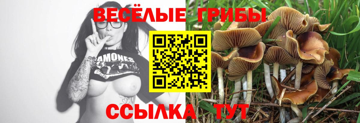 Псилоцибиновые грибы Magic Shrooms Вологда